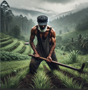 Capture d’écran 2025-01-07 à 00.15.29