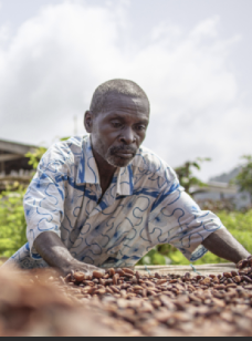 Capture d’écran 2025-01-07 à 00.15.40